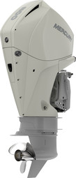 Mercury F 200 L / XL CF DS